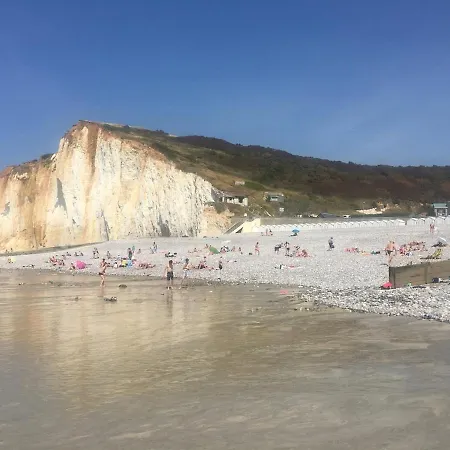 Vivez Le Centre-ville Et La En Harmonie, 1 Saint-Valery-en-Caux